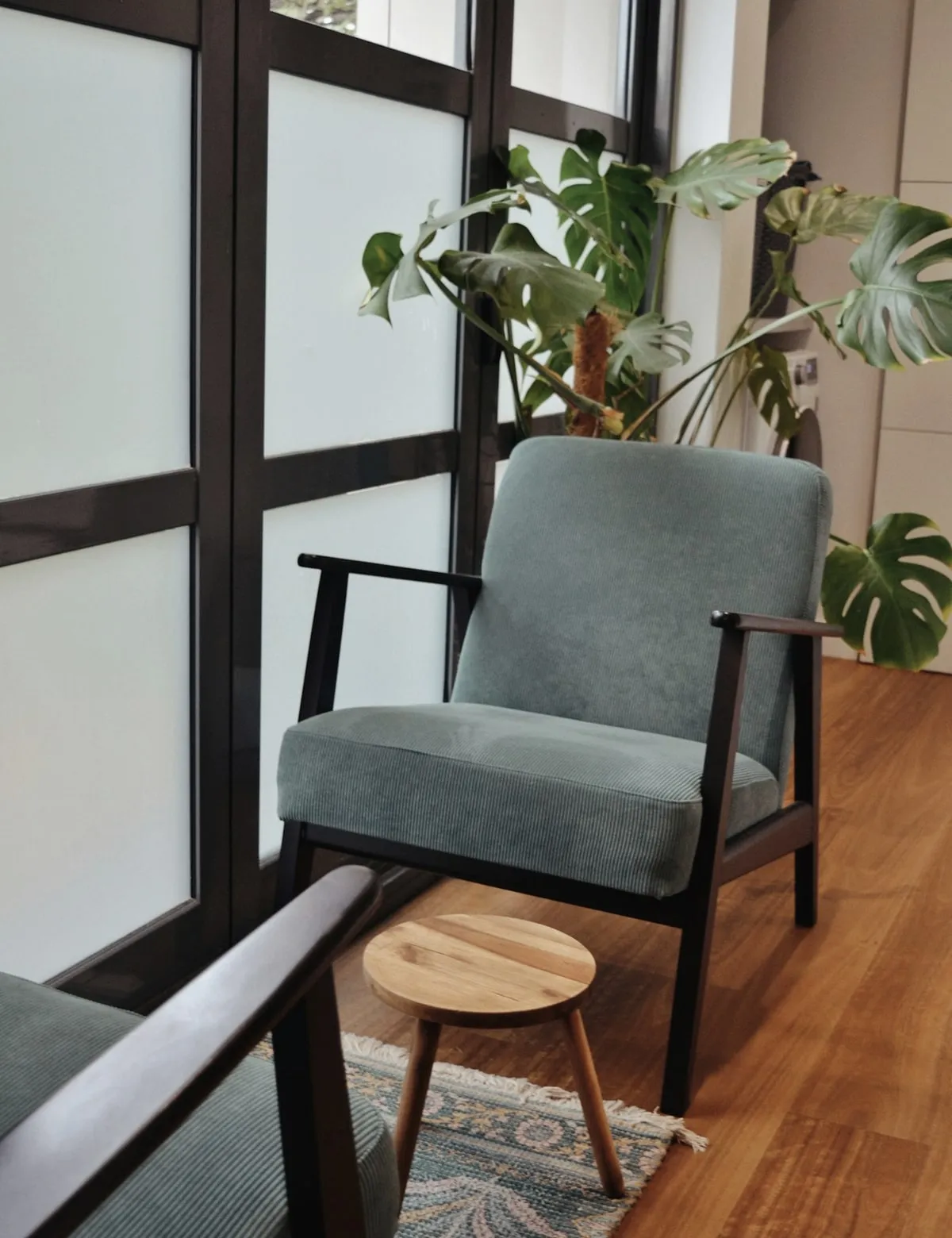 A quiet corner of the waiting room at Northlight Dental: a low armchair and a large plant beside a tall north-facing window.